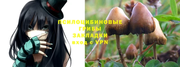 кокс Балабаново